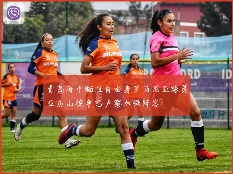 青岛海牛瞄准自由身罗马尼亚球员亚历山德鲁巴卢察加强阵容