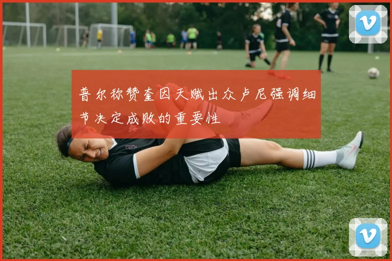 普尔称赞奎因天赋出众卢尼强调细节决定成败的重要性