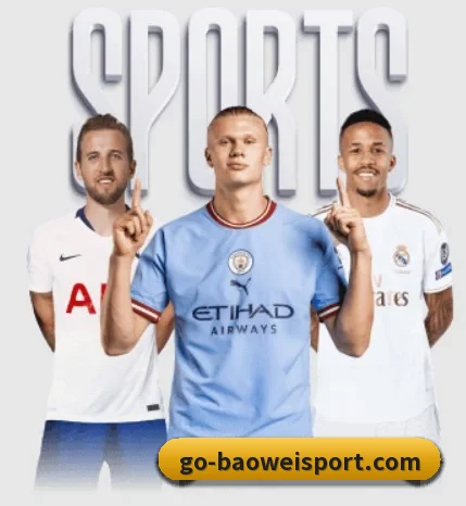宝威体育 APP（BOWWAYSPORTS）