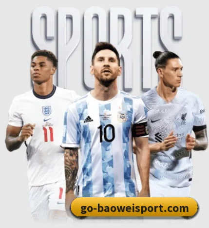 宝威体育 APP 界面 | BOWWAYSPORTS